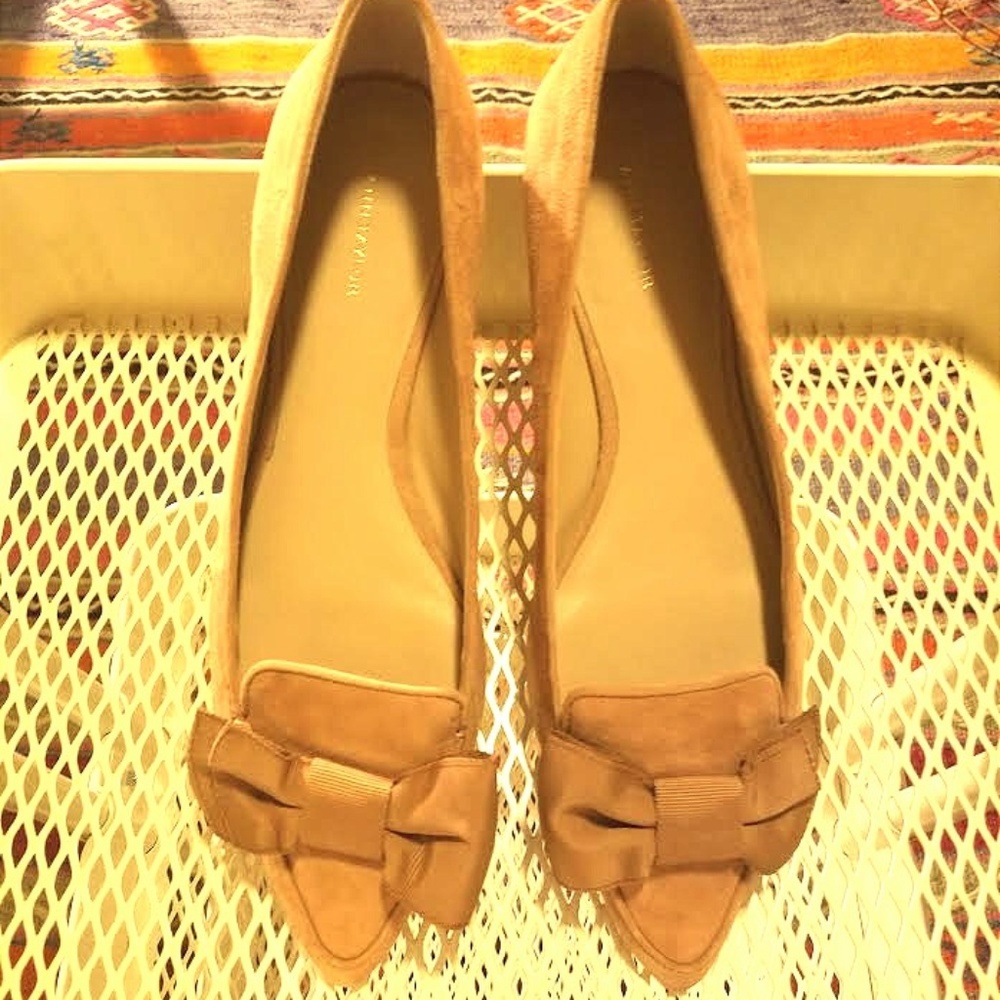 ANN TAYLOR SUEDE FLATS